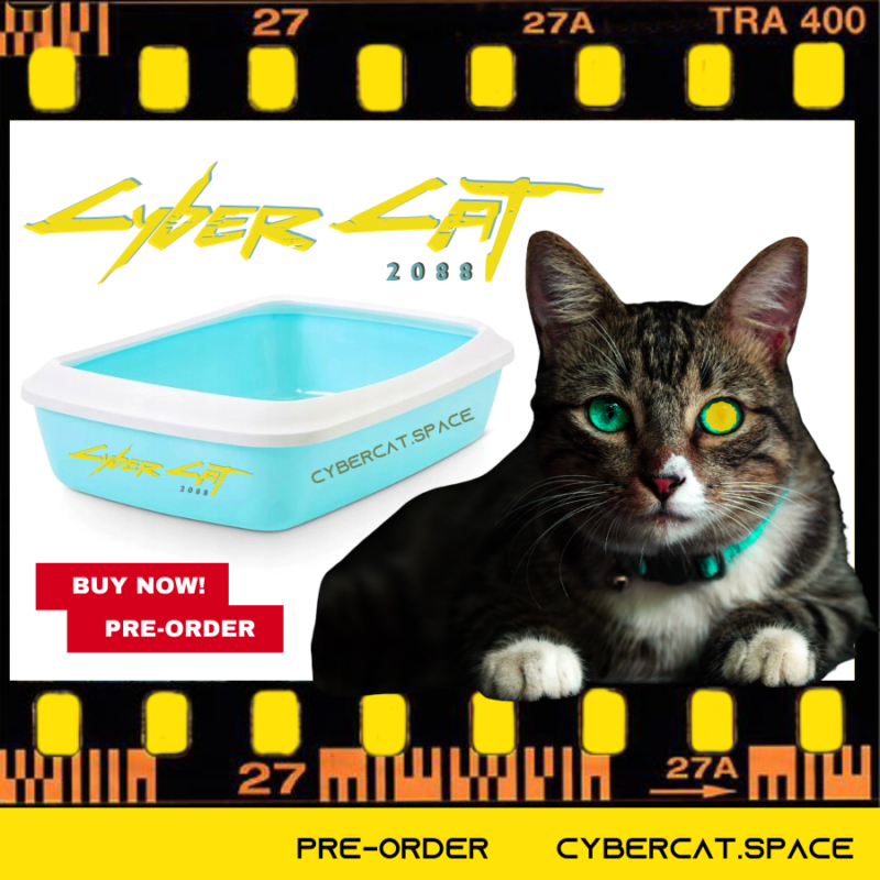 Kuweta CyberCat.space