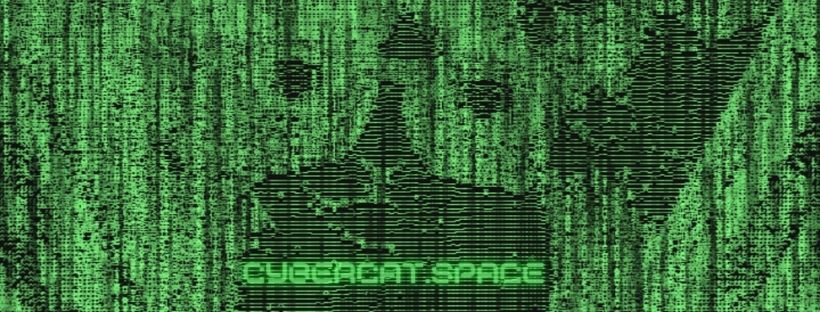 CyberCat.space