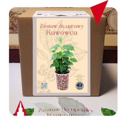Zestaw do uprawy kawowca