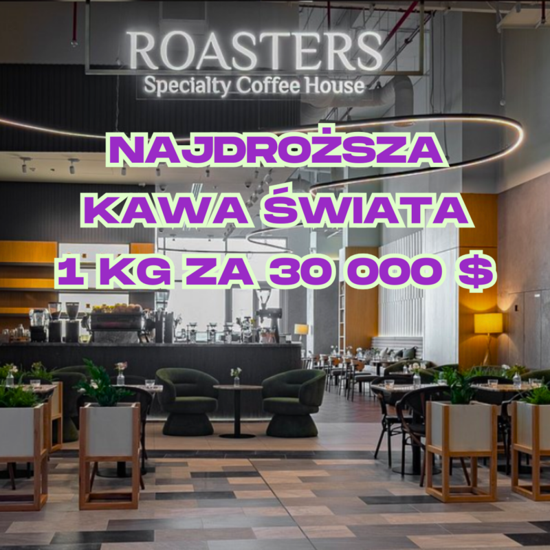 Obrazek "Najdroższa Kawa Świata" - wpis na blogu Kawa- Warszawa.pl by #KrzysztofBarista