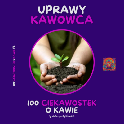 "Uprawy Kawowca" - wpis na Blogu Kawa-Warszawa.pl